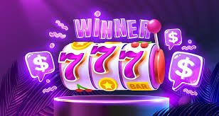 ক্রিকেট উইকেট বিশ্লেষণে 720p মোবাইল দৃশ্য